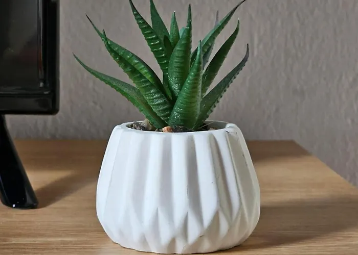 Appartement Sherryflat Naranjas 9 *