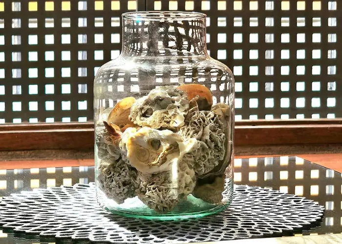 Sherryflat Naranjas 9 *