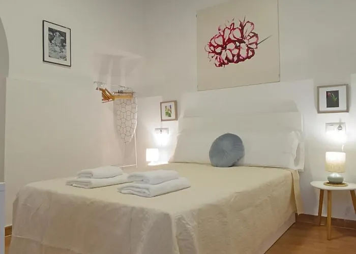 Apartman Sherryflat Naranjas 9